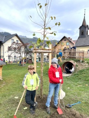 Baumsetzaktion Pruggern