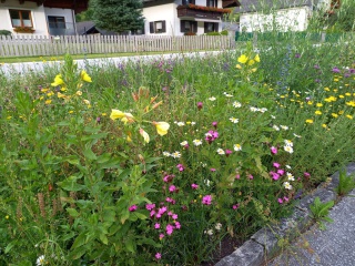 Einladung Schloss Großsölk