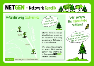 NETGEN Flyer Sattental